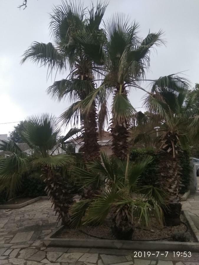 Riviera Villa L'Ametlla de Mar Eksteriør billede